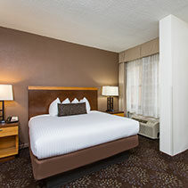Hotel room with queen bed